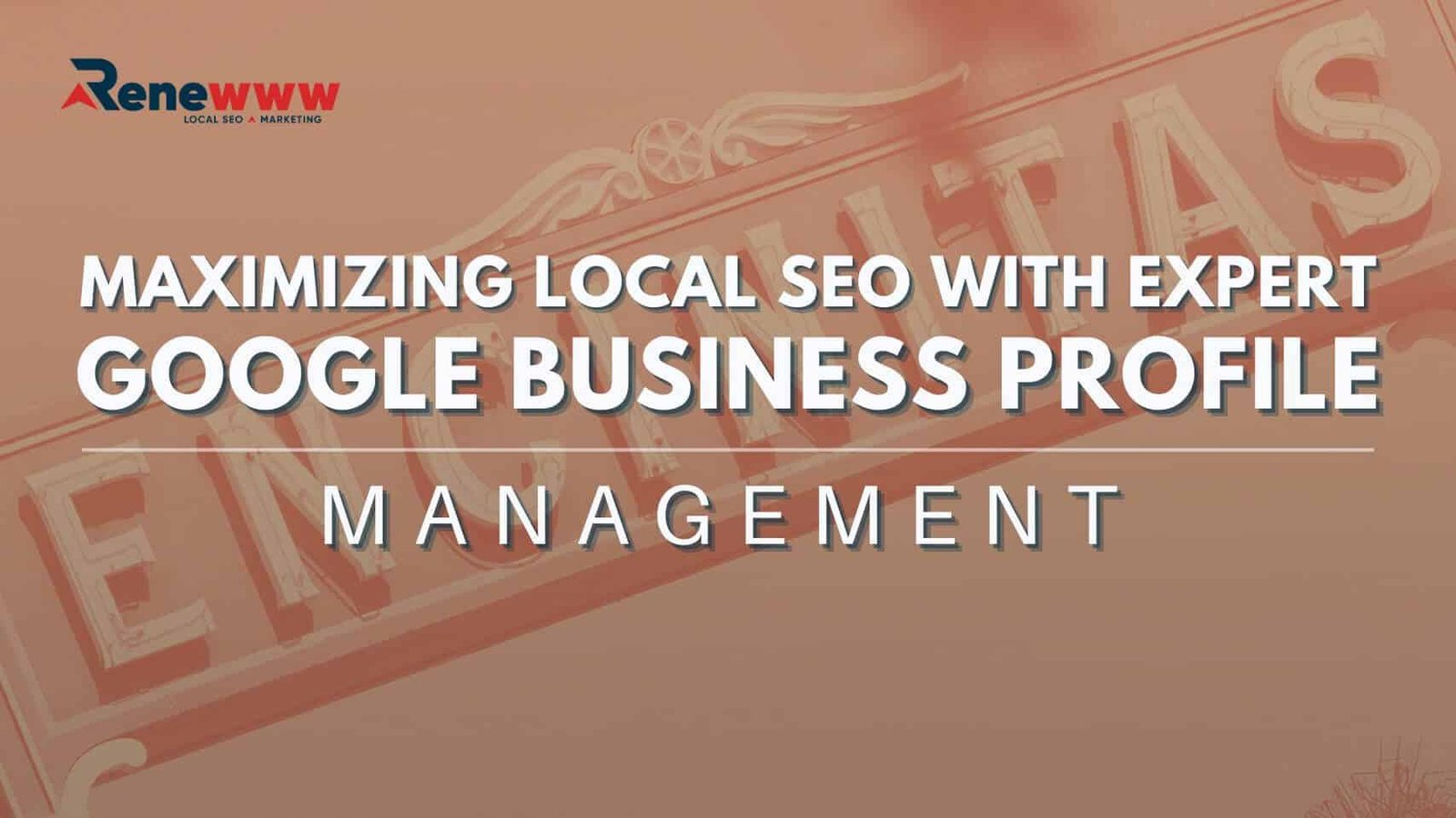 Maximizing Local SEO With Expert Google My Business Management